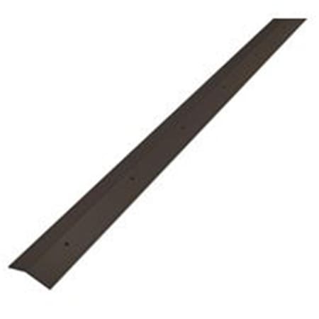 Homecare Products 2 x 36 in. Carpet Trim, Forest Brown HO2478146